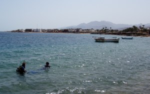 Complete with self assembly divers