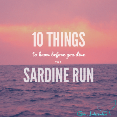 Diving the Sardine Run – my amazing week diving with sharks, dolphins, and a million sardines