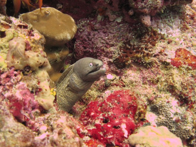 Little fella saying hello