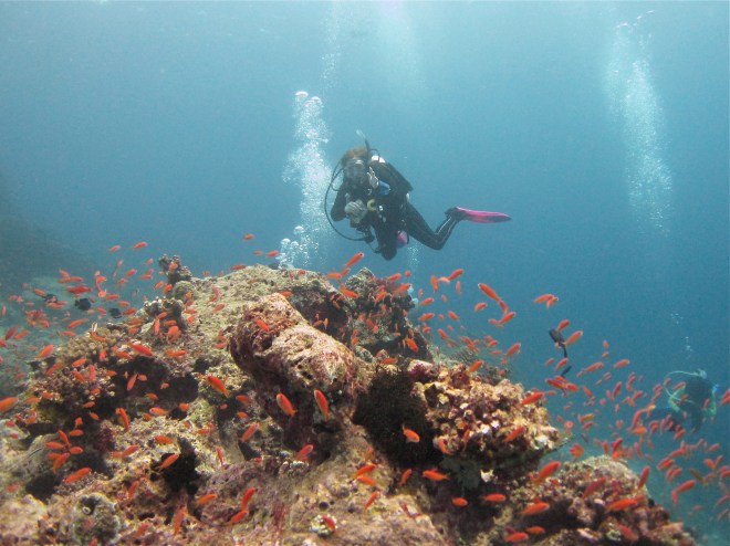 Hannah with some fish