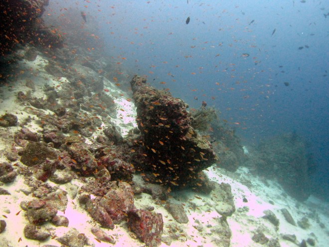 Selaco Caves reef
