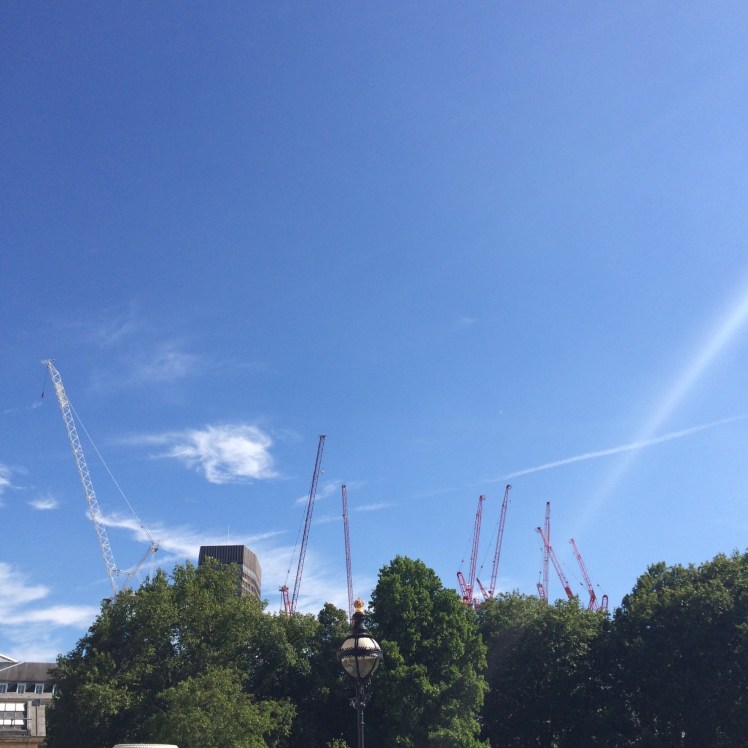 Garden View from Buckingham Palace