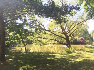 Buckingham Palace Gardens