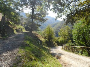 There are some gorgeous walks around Pian di Fiume