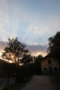 Sunset Pian di fiume tree